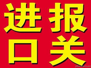 奶粉進口代理服務全解析 上海瑟維斯進口報關公司引領專業通關與翻譯服務